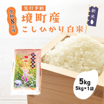 米 コシヒカリ 5kg 令和8年産 国産 白米 茨城県 境町産 数量限定 こしひかり お米 おすすめ