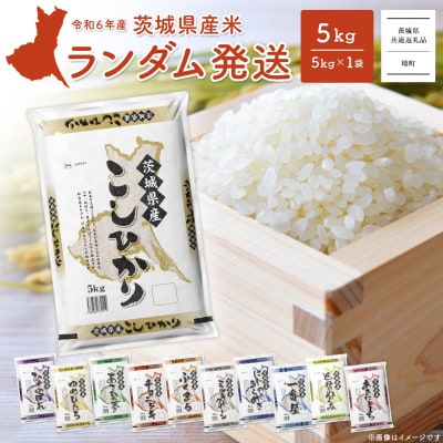 【令和6年産】※ランダム※ 〈2025年06月内発送〉 5kg 茨城県産 白米【茨城県共通返礼品】