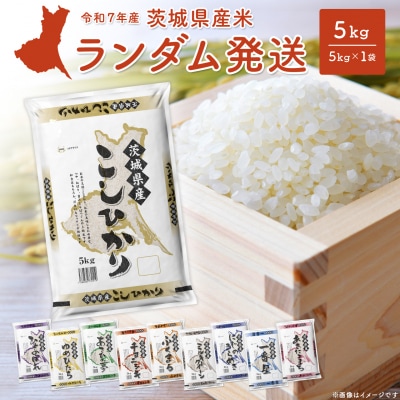 【令和7年産/白米】令和8年1月内発送 ランダム5kg 茨城県産 米