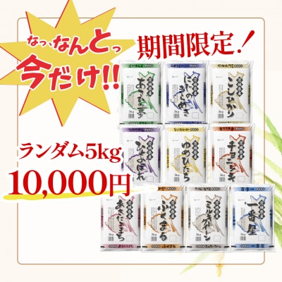 【令和7年産/白米】令和8年1月内発送 ランダム5kg 茨城県産 米