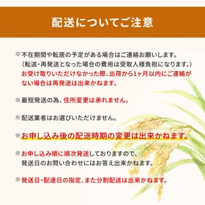ランダム 5kg 〈令和8年4月内発送〉【令和7年産/白米】 米 精米 小分け  茨城県産
