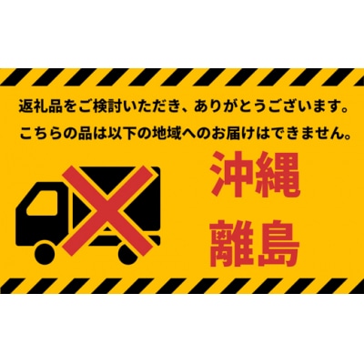 〈マットブルー〉 20インチ自転車【WONKAミニ】完全組立 ウォンカ