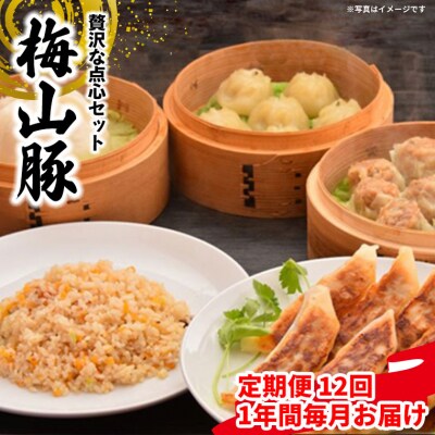 【12回毎月定期便】 塚原牧場  「梅山豚」 点心セット メイシャントン 境町
