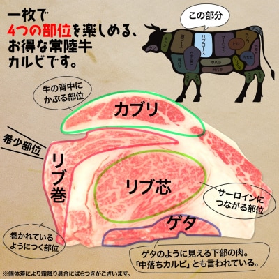 〈最短7日発送〉【常陸牛】ハミデルカルビ 300g (2～3枚) 〈茨城県共通返礼品〉