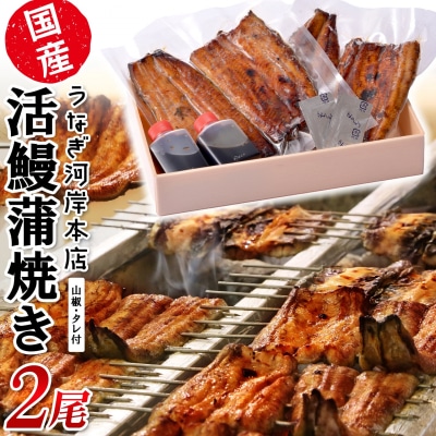 うなぎ河岸本店 【国産】 鰻蒲焼き 2尾 山椒/タレ付 ウナギ
