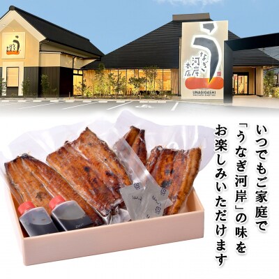 うなぎ河岸本店 【国産】 鰻蒲焼き 2尾 山椒/タレ付 ウナギ