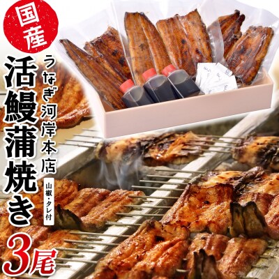 うなぎ河岸本店 【国産】 鰻蒲焼き 3尾 山椒/タレ付