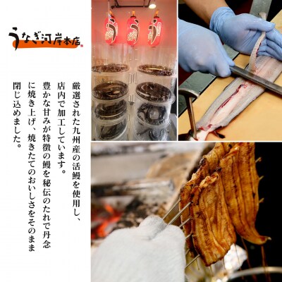 うなぎ河岸本店 【国産】 鰻蒲焼き 3尾 山椒/タレ付