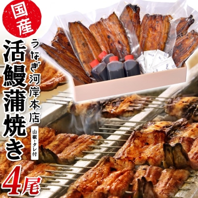 うなぎ河岸本店 【国産】 鰻蒲焼き 4尾 山椒/タレ付 ウナギ