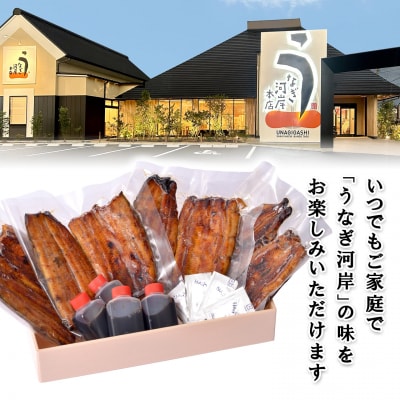 うなぎ河岸本店 【国産】 鰻蒲焼き 4尾 山椒/タレ付 ウナギ