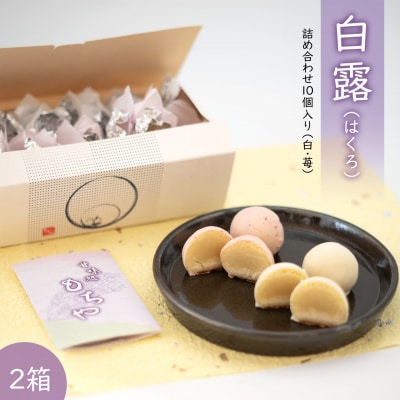 白露(はくろ) 詰め合わせ 10個入り × 2箱 (白・苺)
