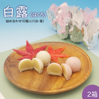 白露(はくろ) 詰め合わせ 10個入り × 2箱 (白・苺)