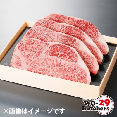 【茨城県共通返礼品】WO-29Butchers 常陸牛 サーロインステーキ 600g