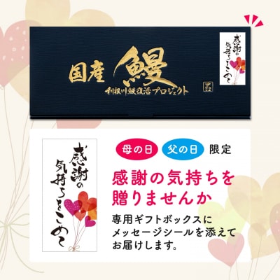 【父の日までにお届け(6月9日～13日発送)】 国産うなぎ蒲焼き2尾 350g以上〈贈答用 ギフト〉