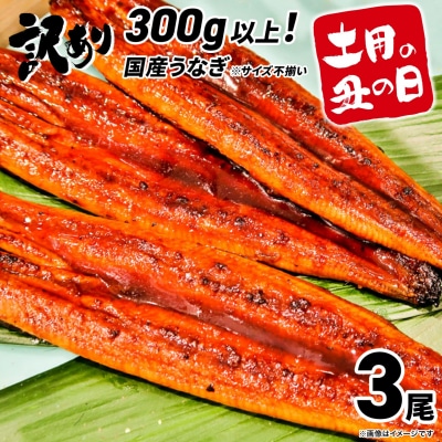 【土用の丑の日までにお届け】 国産うなぎ3尾 計300g以上 数量限定 先行予約 ※サイズ無選別