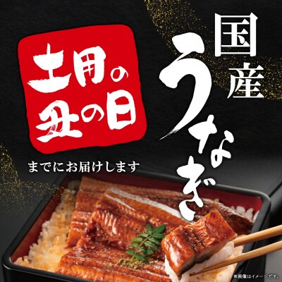 【土用の丑の日までにお届け】 国産うなぎ3尾 計300g以上 数量限定 先行予約 ※サイズ無選別