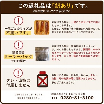 【土用の丑の日までにお届け】 国産うなぎ3尾 計300g以上 数量限定 先行予約 ※サイズ無選別
