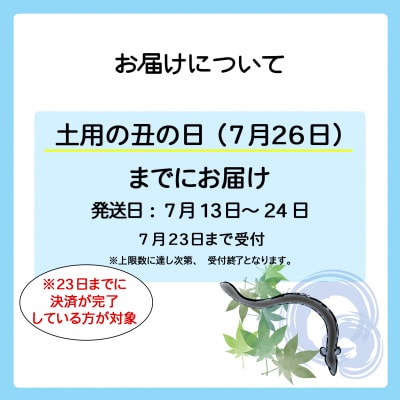 【土用の丑の日までにお届け】 国産 うなぎ 3尾 計330g以上 ※サイズ無選別 鰻蒲焼 訳あり