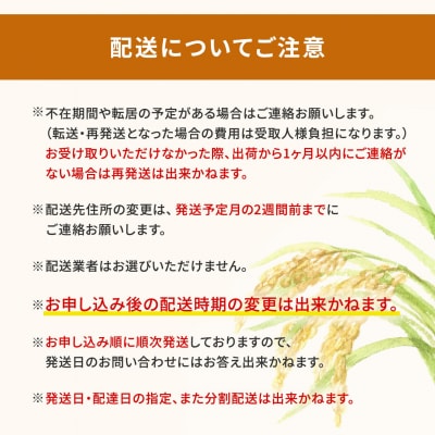 新米先行受付 R7年8月中旬-9月内発送 R7年産 あきたこまち 5kg×2袋 【茨城県共通返礼品】