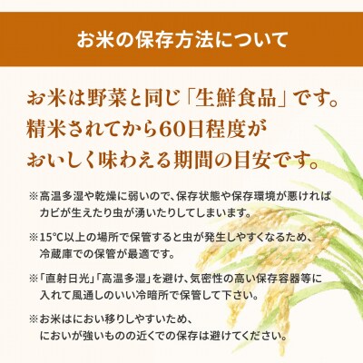 【新米先行受付!】 令和7年産  ランダム 白米 5kg 〈令和7年9月内発送〉