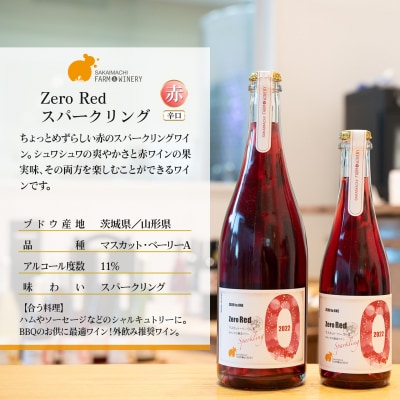 【スパークリングワイン3種セット】750ml×3本 さかいまちワイナリー
