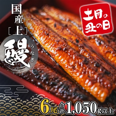 【丑の日までにお届け】 上うなぎ 蒲焼 6尾 1,050g以上 国産 鰻 丑の日 うなぎ蒲焼き 魚