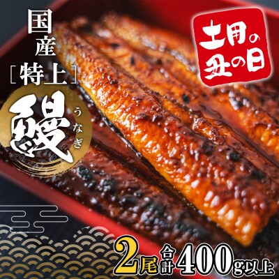 【丑の日までにお届け】 特上うなぎ 蒲焼 2尾 400g以上 国産 鰻 丑の日 うなぎ蒲焼き 魚