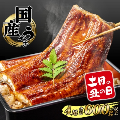 【丑の日までにお届け】 国産 うなぎ 蒲焼き 4尾 計600g以上 鰻 蒲焼 鰻蒲焼 簡易包装