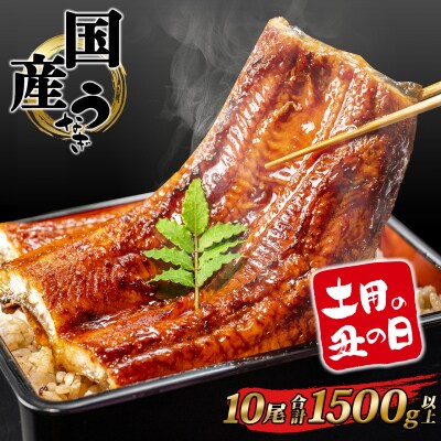 【丑の日までにお届け】 うなぎ 蒲焼 10尾 1,500g以上 国産 鰻 丑の日 うなぎ蒲焼き 魚