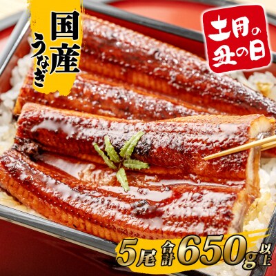 【丑の日までにお届け】 うなぎ 蒲焼 5尾 650g以上 国産 鰻 丑の日 うなぎ蒲焼き 魚