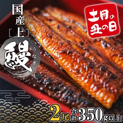 〈土用の丑の日までにお届け〉国産うなぎ蒲焼き2尾 350g以上!! タレ 山椒付き 丑の日