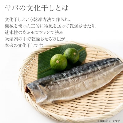 【茨城県共通返礼品/神栖市】大トロ さば 文化干し 1枚真空×6パック サバ 鯖  真空パック 冷凍