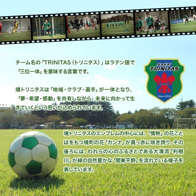 【5日以内発送】 境トリニタス応援ボックスティッシュ 400枚(200組)×20箱 日用品 消耗品