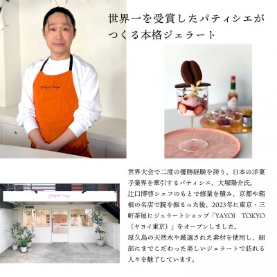 YAYOI TOKYO 監修 ジェラート  3種以上おまかせ6個 詰め合わせ ボックスセット アイス