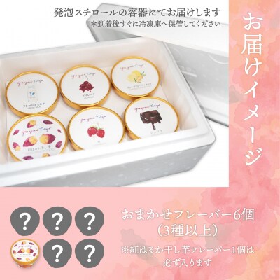 YAYOI TOKYO 監修 ジェラート  3種以上おまかせ6個 詰め合わせ ボックスセット アイス