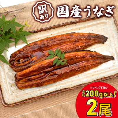 【2026年4月発送】 国産 うなぎ 2尾 200g以上 鰻 蒲焼 蒲焼き 訳あり