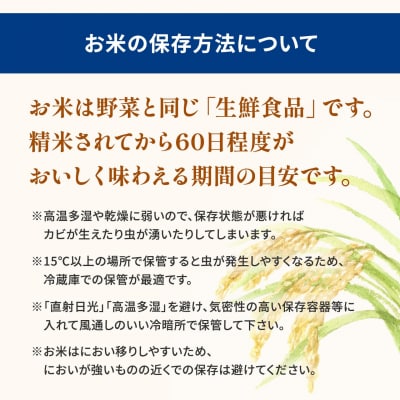 【お米マイスター厳選ブレンド米】とねさかい〈令和7年11月内発送〉 5kg(5kg×1袋) 茨城県産