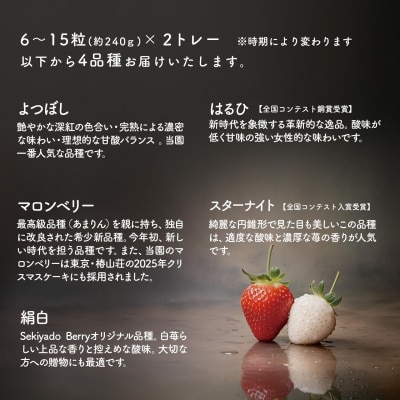 【2026年先行予約】いちご 厳選 4品種食べくらべ 約480g (約240g×2トレー)