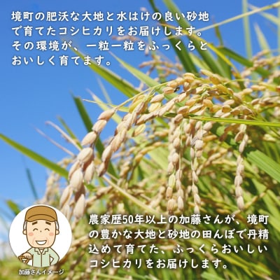 令和7年産 / 白米 《50個限定》　令和7年産 茨城県 境町産 コシヒカリ 5kg 2025年産