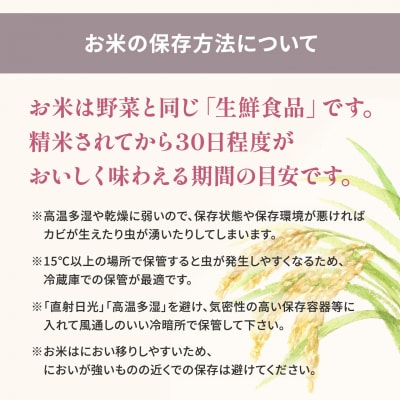寄付額改定 令和8年2月内発送 ミルキークイーン 3kg 茨城県産 少量 人気 米 令和7年産/白米