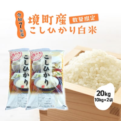 【令和7年産】 境町 白米 「コシヒカリ」 20kg(10kg×2袋) 数量限定