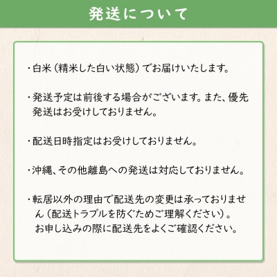 【数量限定】 令和7年産 境町 白米 「コシヒカリ」 20kg(10kg×2袋)
