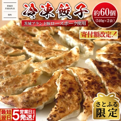 【さとふる限定】 ◎最短翌日発送◎ ローズポーク使用 冷凍餃子 約60個 〈茨城県共通返礼品〉