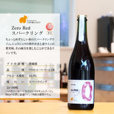 【スパークリングワイン3種セット】 750ml×3本 さかいまち ワイナリー K2649