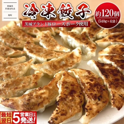 【茨城県共通返礼品】◎最短翌日発送◎ ローズポーク使用 冷凍餃子 約120個 (540g×4袋)