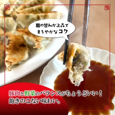 【茨城県共通返礼品】◎最短翌日発送◎ ローズポーク使用 冷凍餃子 約120個 (540g×4袋)