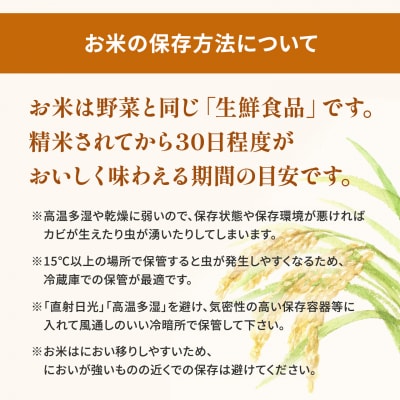 【令和7年産/白米】茨城県産 にじのきらめき10kg (5kg×2袋) 令和8年2月内発送