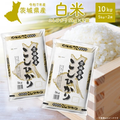 【令和7年産/白米】茨城県産 コシヒカリ 10kg (5kg×2袋) 令和8年2月内発送 米 精米