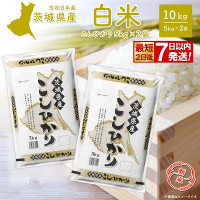 【新米/白米】◎最短2日後発送◎ コシヒカリ10kg 令和8年産 茨城県産 K2654