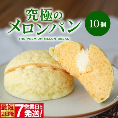 自慢の逸品!! 究極のメロンパン 10個入×1箱